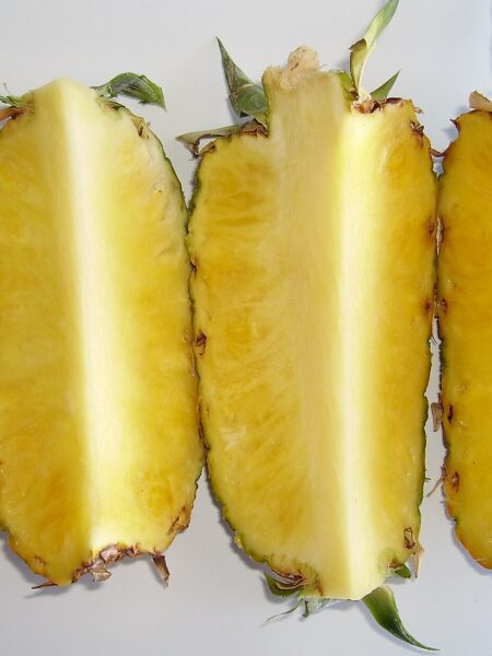 Ananas-Basilikum-Sorbet – fruchtig-frisch vom Profikoch