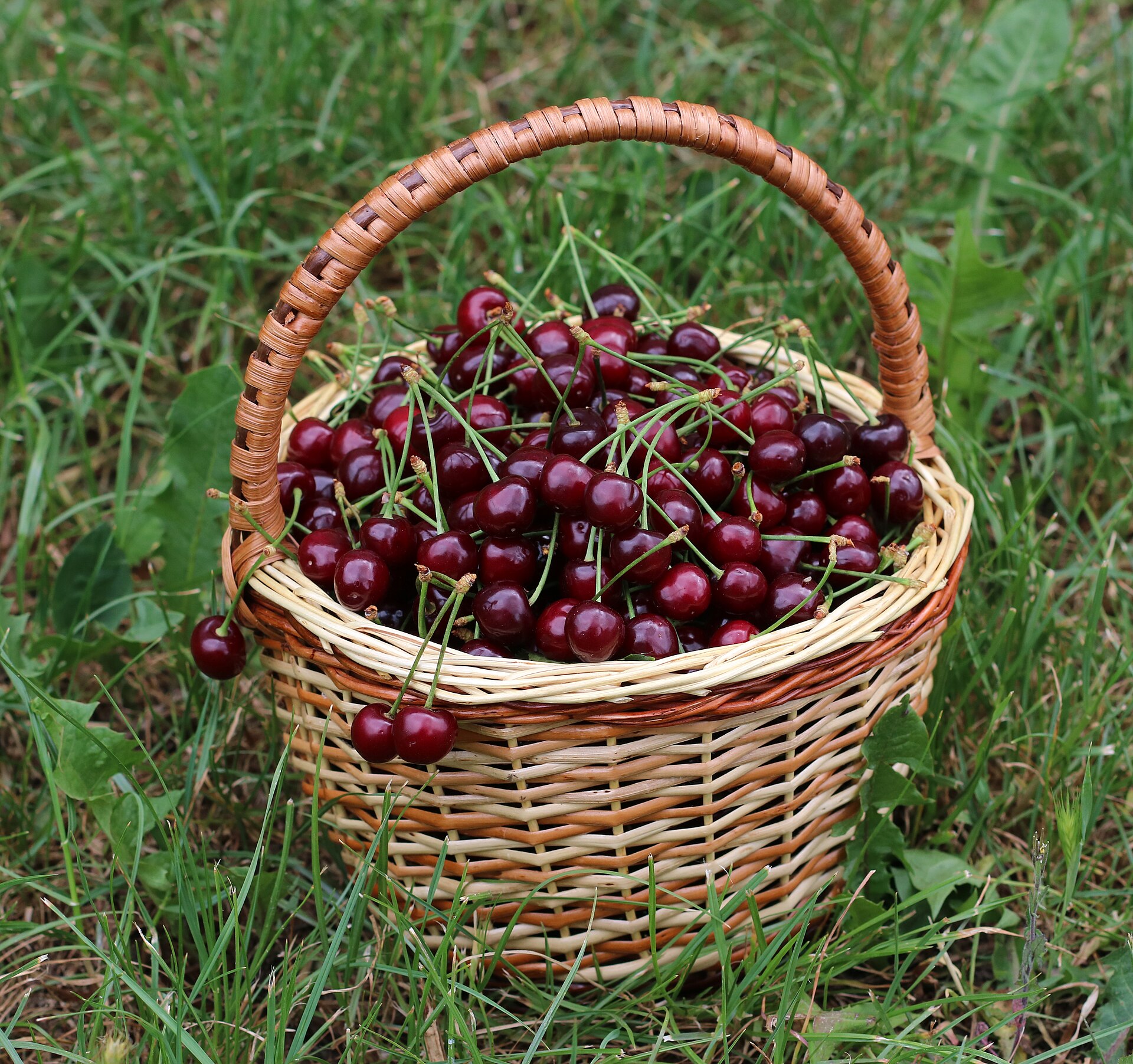 Balsamico-Kirschen – würziges Kirschkompott mit Rotwein