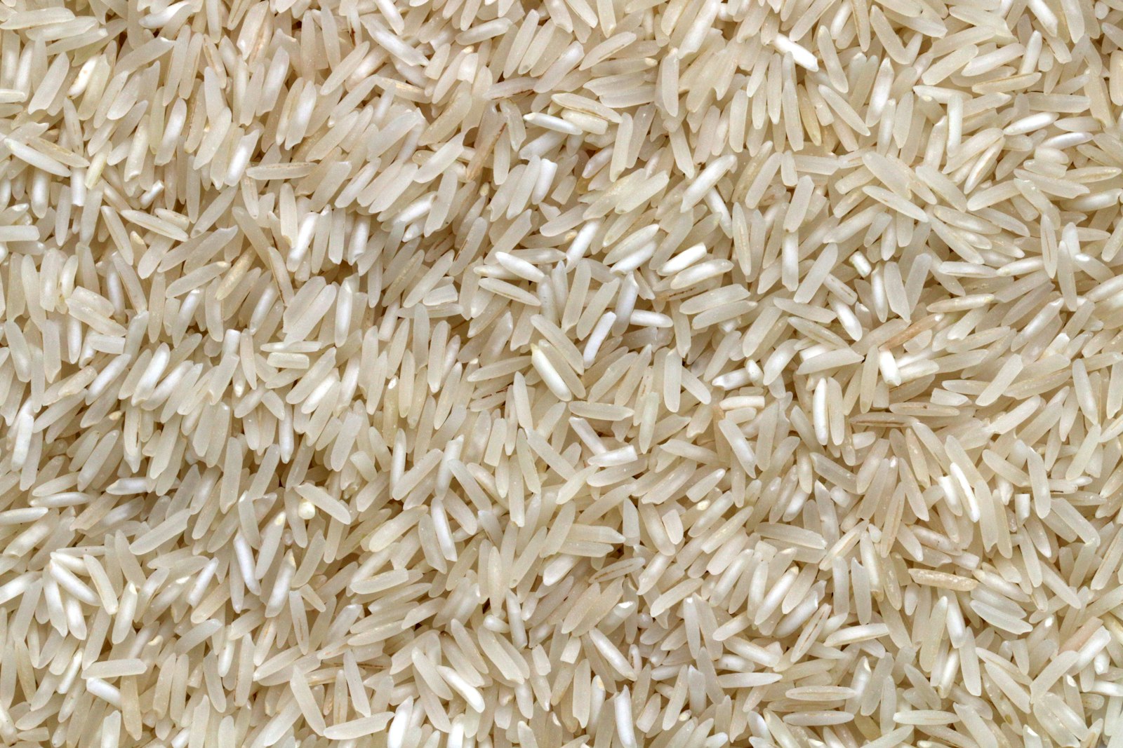 Basmatireis perfekt kochen – locker, duftend, jedes Korn einzeln