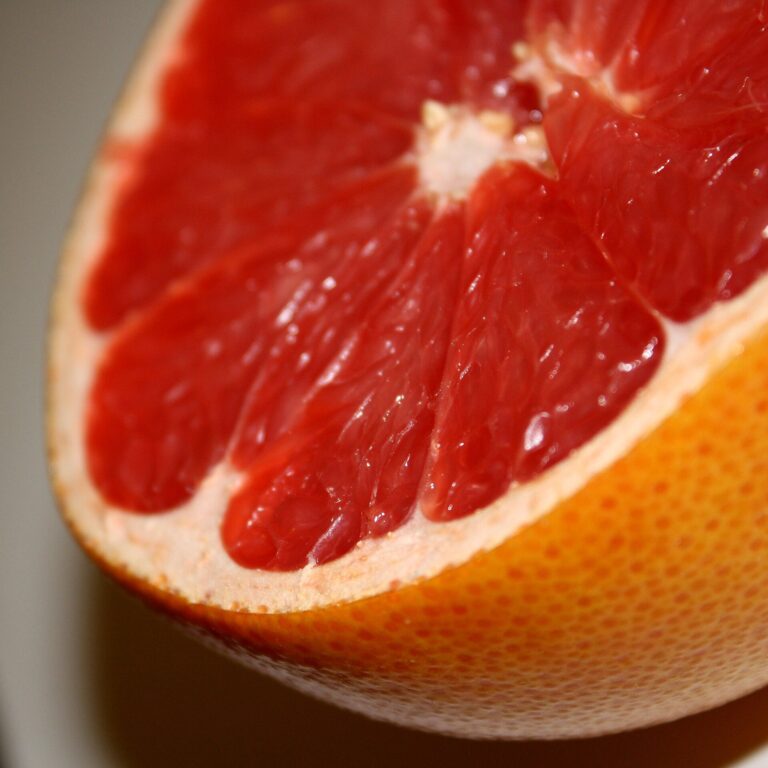 Grapefruitsorbet mit Buttermilch & Quark – cremig und frisch