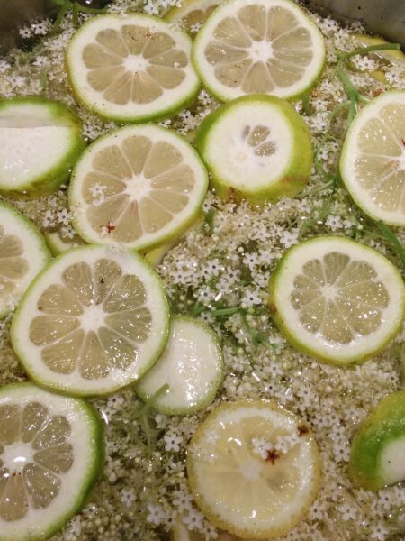 Holunderblütensirup selber machen – das Grundrezept