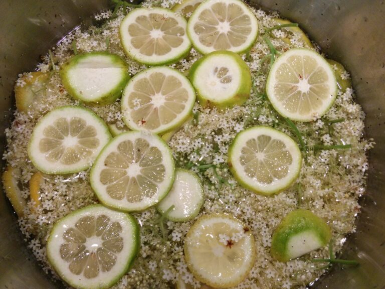 Holunderblütensirup selber machen – das Grundrezept