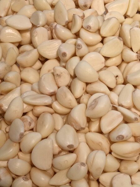 Konfierter Knoblauch – cremige Knoblauchpaste in Olivenöl