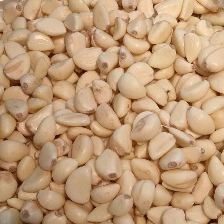 Konfierter Knoblauch – cremige Knoblauchpaste in Olivenöl