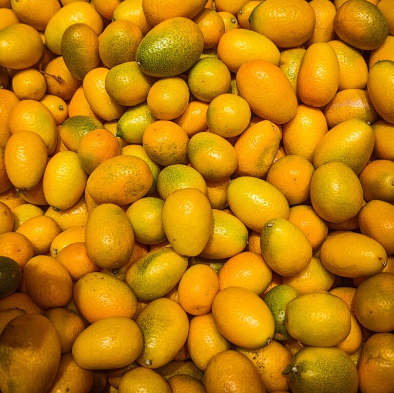 Kumquats im Gewürzsud mit Vanille, Zimt und Sternanis