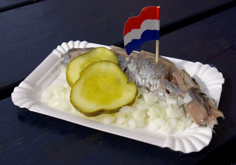 Matjesterrine mit Sauerrahm, Kapern und Dill