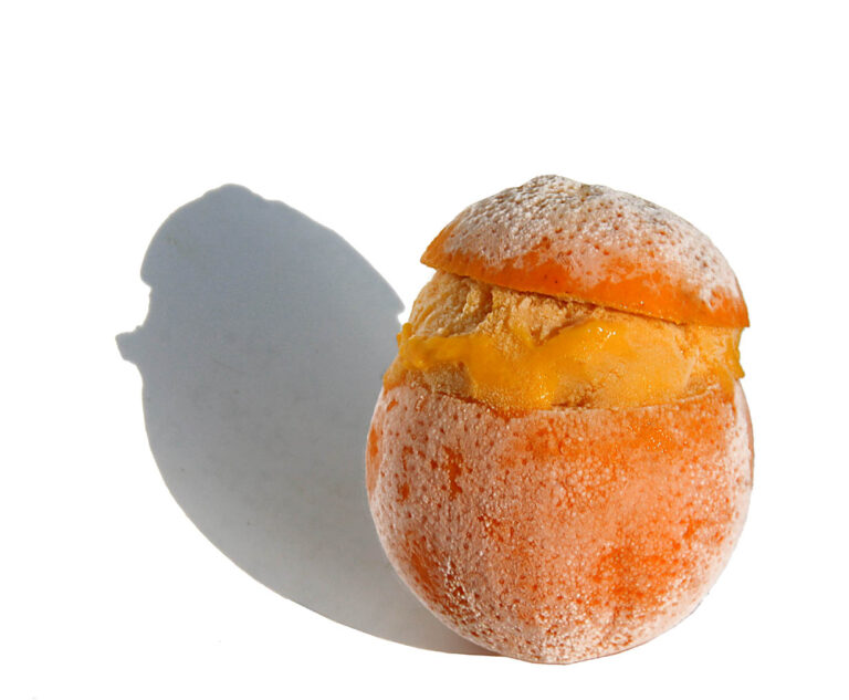 Orangensorbet oder Mandarinensorbet – nur 3 Zutaten