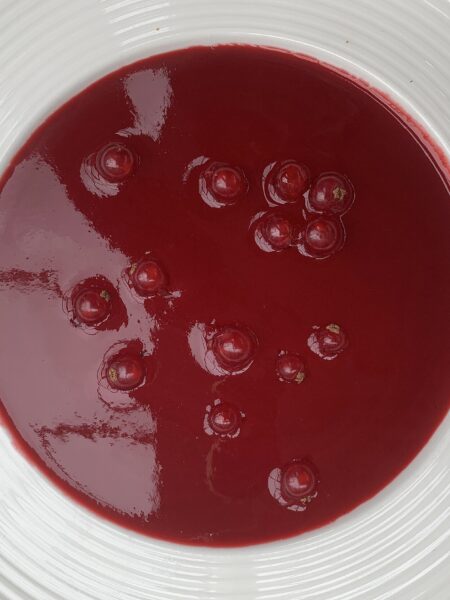 Rhabarber-Hibiskus-Süppchen – fruchtige Dessertsuppe