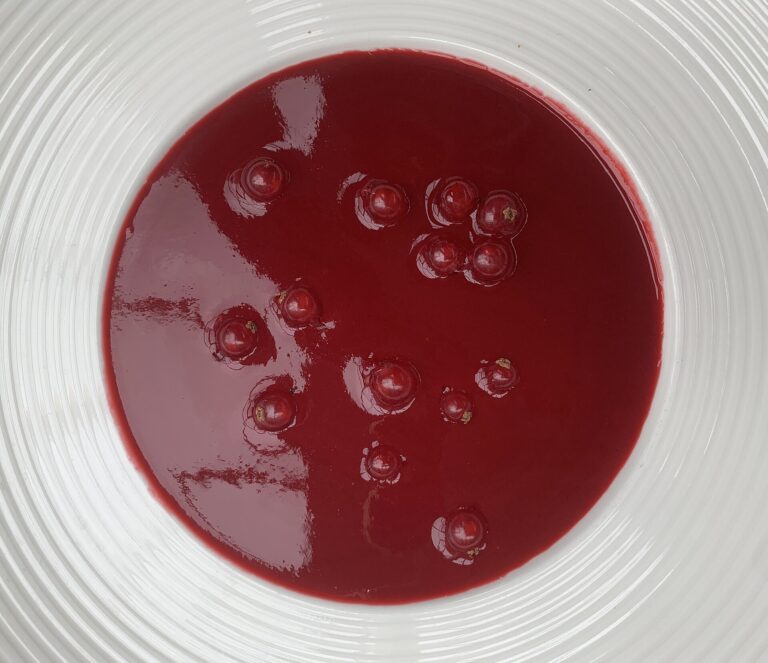 Rhabarber-Hibiskus-Süppchen – fruchtige Dessertsuppe