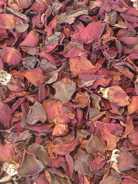 Rosenblütenkonzentrat – Rosensirup selber machen