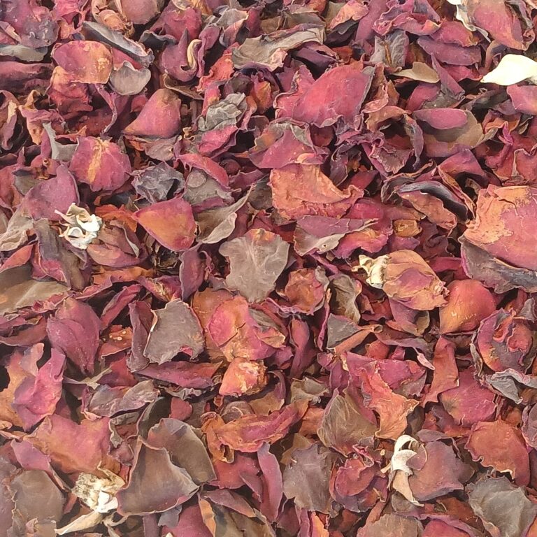 Rosenblütenkonzentrat – Rosensirup selber machen