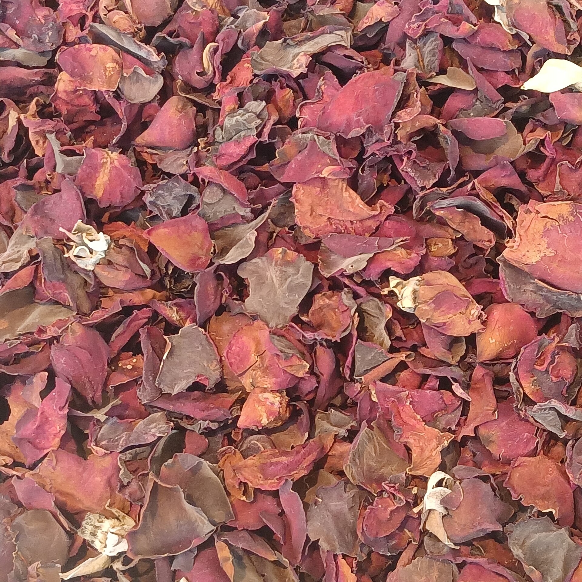 Rosenblütenkonzentrat – Rosensirup selber machen