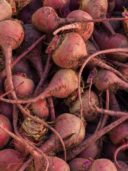 Rote-Bete-Püree mit Rotwein und Portwein