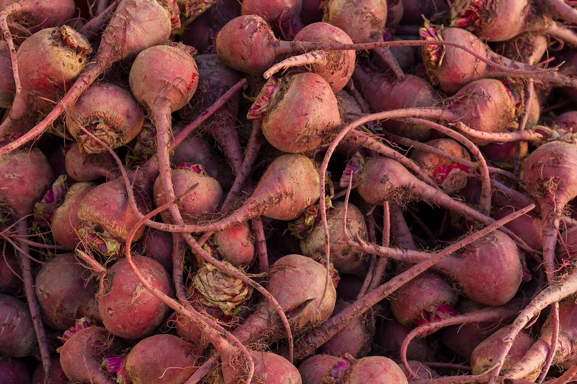 Rote-Bete-Püree mit Rotwein und Portwein