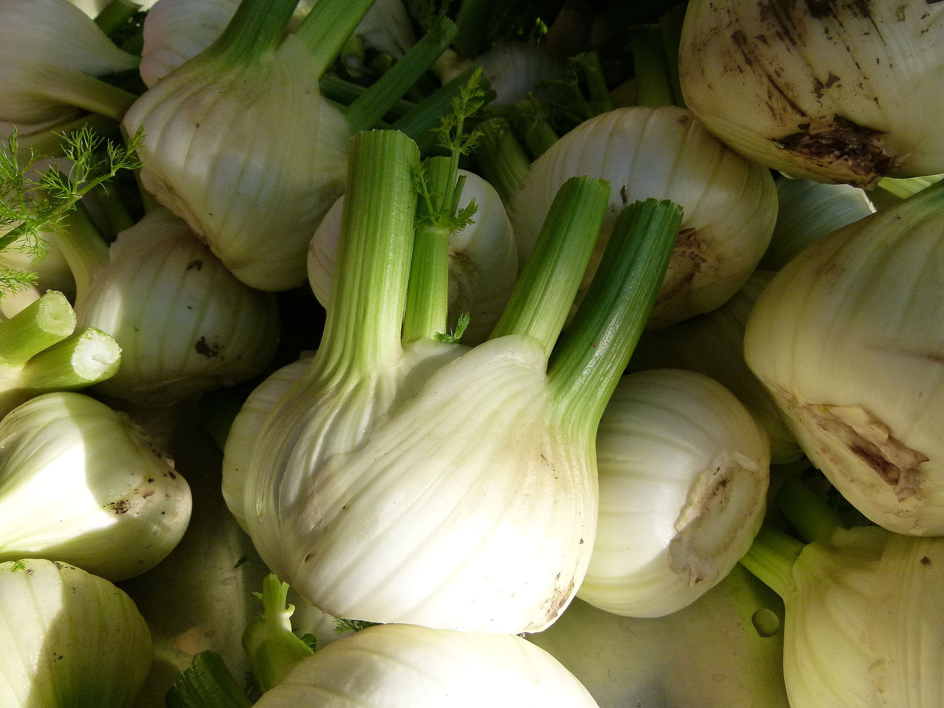 Safran-Fenchelgemüse – aromatisch mit Sternanis