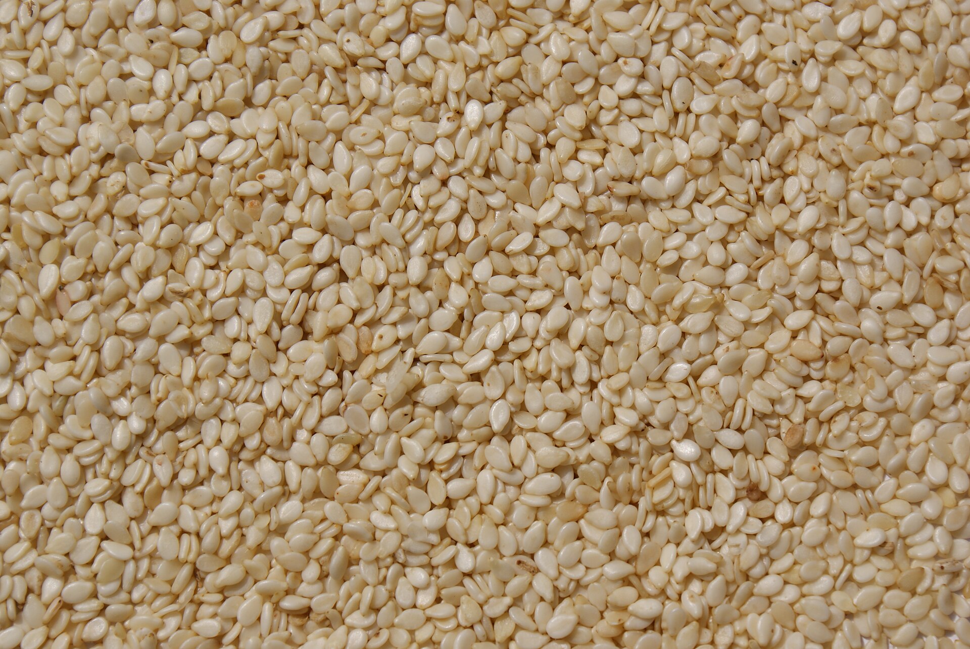 Sesamhippen mit Orange – knuspriges Sesamkrokant