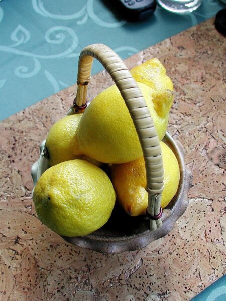 Zitronensorbet – erfrischend, cremig, einfach